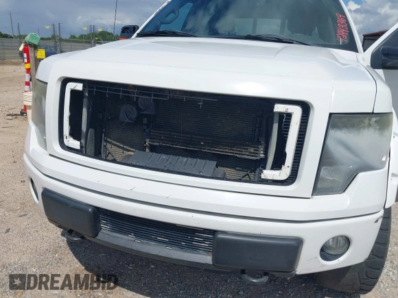2014 Ford F-150 XL with VIN 1FTFW1ET9EFC98604, listed as a IAAI auction lot 42443369 with 294,642 mi miles and . Bid and sale history available at DreamBid. Image 6.