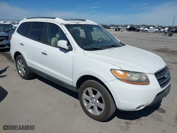 2008 Hyundai Santa Fe SE with VIN 5NMSH13E48H194784, listed as a IAAI auction lot 41824245 with 199,238 mi miles. Bid and sale history available at carsss.com. Image 1.