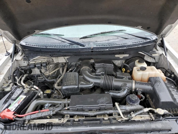 2010 Ford F-150 XL with VIN 1FTFW1CV9AFB28242, listed as a Copart auction lot 47129705 with 244,097 mi miles and Non Repairable. Bid and sale history available at carsss.com. Image 11.