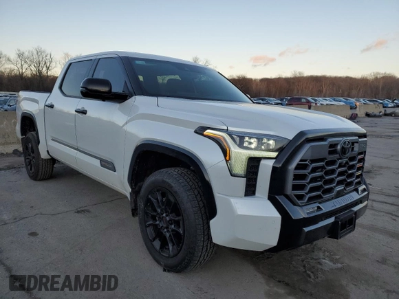 2024 Toyota Tundra 1794 Edition with VIN 5TFMA5DB4RX229874, listed as a Copart auction lot 41369945 with 6,835 mi miles and Salvage title. Bid and sale history available at DreamBid. Image 4.