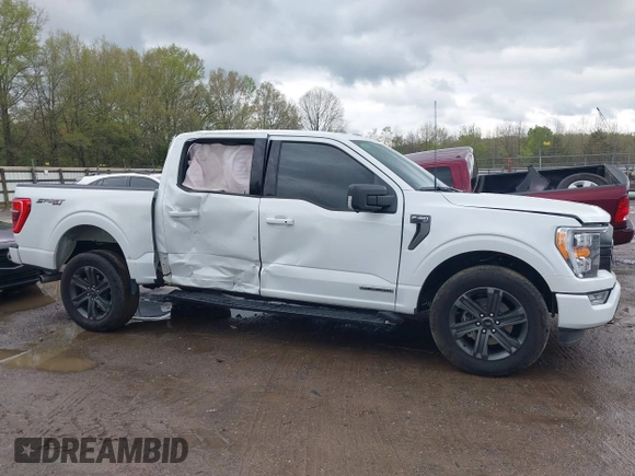 2023 Ford F-150 XL with VIN 1FTFW1ED8PFD06493, listed as a IAAI auction lot 42002427 with 31,147 mi miles and . Bid and sale history available at carsss.com. Image 13.