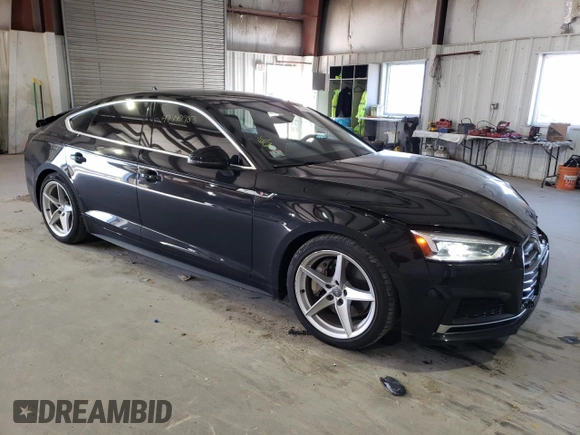 2019 Audi A5 Sportback Premium Plus with VIN WAUENCF56KA045479, listed as a Copart auction lot 47790983 with 43,128 mi miles. Bid and sale history available at carsss.com. Image 4.