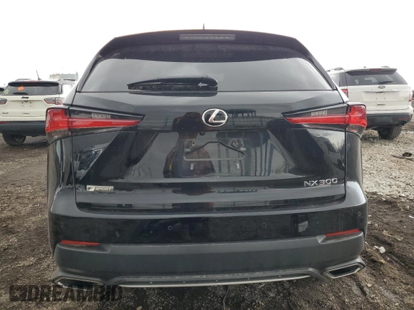 2019 Lexus NX 300 z VIN JTJBARBZXK2187757, wystawiony jako Copart lot #49861905 z przebiegiem 53 319 mil mil oraz Szkoda całkowita • Salvage title. Historia ofert i sprzedaży dostępna na DreamBid. Obrazek 6.