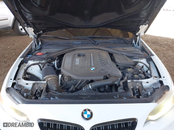 2017 BMW 2 Series M240i with VIN WBA2G1C39HV639568, listed as a IAAI auction lot 41888789 with 65,998 mi miles. Bid and sale history available at carsss.com. Image 10.