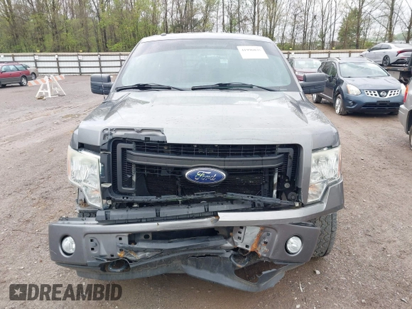2013 Ford F-150 XL with VIN 1FTFX1EF8DKE38140, listed as a IAAI auction lot 41996035 with 161,332 mi miles. Bid and sale history available at carsss.com. Image 6.