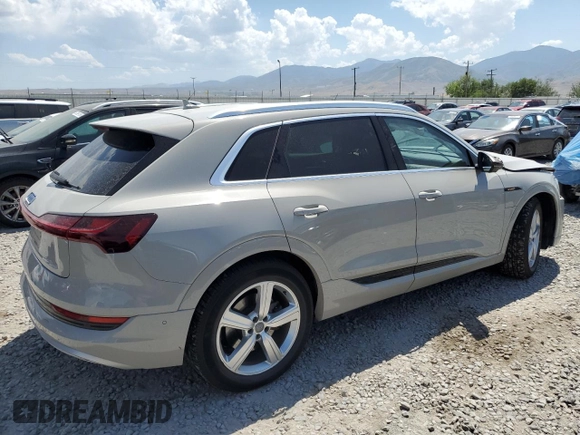 2019 Audi e-tron Premium Plus with VIN WA1LAAGE2KB024948, listed as a Copart auction lot 60459195 with 57,391 mi miles and Salvage title. Bid and sale history available at DreamBid. Image 3.