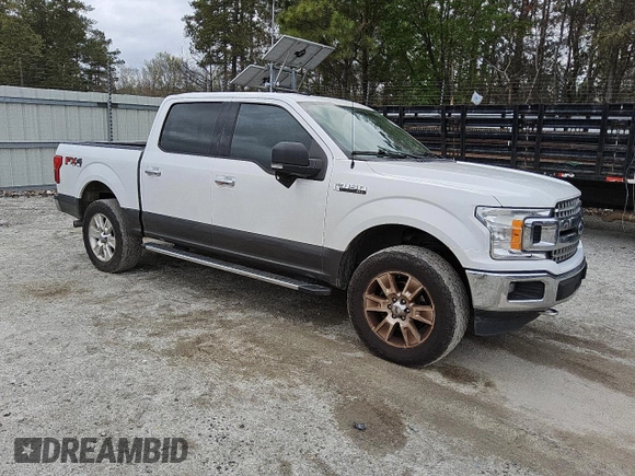 2019 Ford F-150 XL with VIN 1FTEW1E57KFB00501, listed as a Copart auction lot 49469185 with 251,210 mi miles and Clean Title. Bid and sale history available at carsss.com. Image 4.