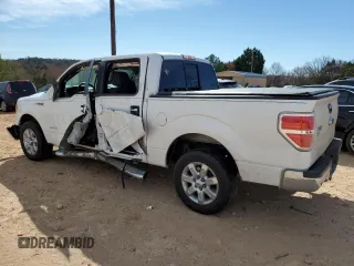 2014 Ford F-150 XL with VIN 1FTFW1CTXEFC60186, listed as a Copart auction lot 46981665 with 166,904 mi miles and Salvage Title. Bid and sale history available at carsss.com. Image 2.