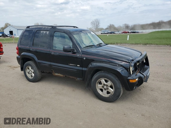 2002 Jeep Liberty Limited with VIN 1J4GL58K12W185761, listed as a Copart auction lot 53367965 with 163,561 mi miles and Salvage title. Bid and sale history available at DreamBid. Image 4.