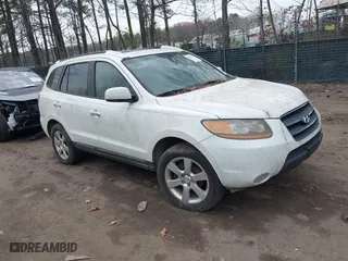 2008 Hyundai Santa Fe SE with VIN 5NMSH13E08H174192, listed as a IAAI auction lot 41845129 with 219,115 mi miles. Bid and sale history available at carsss.com. Image 1.