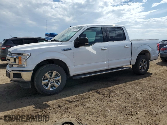 2019 Ford F-150 XL with VIN 1FTEW1EPXKKC50501, listed as a Copart auction lot 62301215 with 79,065 mi miles and Salvage title. Bid and sale history available at DreamBid. Image 1.