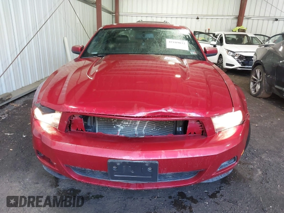 2010 Ford Mustang V6 with VIN 1ZVBP8AN8A5129893, listed as a IAAI auction lot 42189032 with 162,686 mi miles and . Bid and sale history available at DreamBid. Image 12.