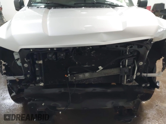 2017 Ford F-150 XL with VIN 1FTEX1EP7HFB64173, listed as a IAAI auction lot 41471112 with 65,277 mi miles and . Bid and sale history available at DreamBid. Image 6.
