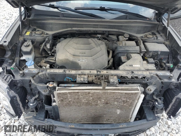 2020 Hyundai Palisade SEL with VIN KM8R3DHE0LU136918, listed as a Copart auction lot 59132245 with 102,501 mi miles and Salvage title. Bid and sale history available at DreamBid. Image 12.