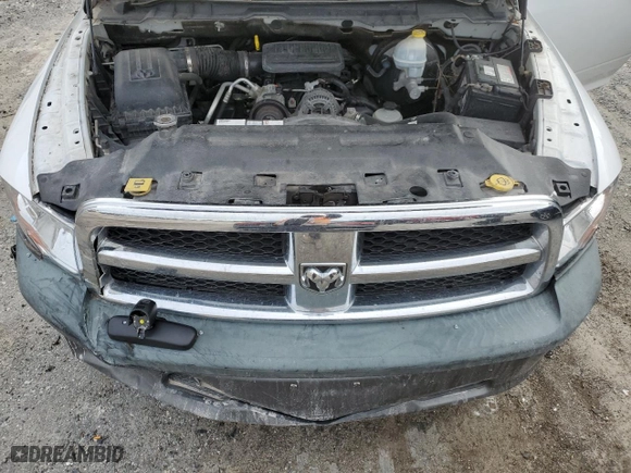 2010 Dodge Ram 1500 ST with VIN 3D7JB1EK3AG124507, listed as a Copart auction lot 41806195 with NaN miles and Salvage Title. Bid and sale history available at carsss.com. Image 11.