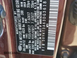 2013 Kia Sorento LX with VIN 5XYKT3A63DG361839, listed as a Copart auction lot 49459425 with Not provided miles and Salvage title. Bid and sale history available at DreamBid. Image 13.