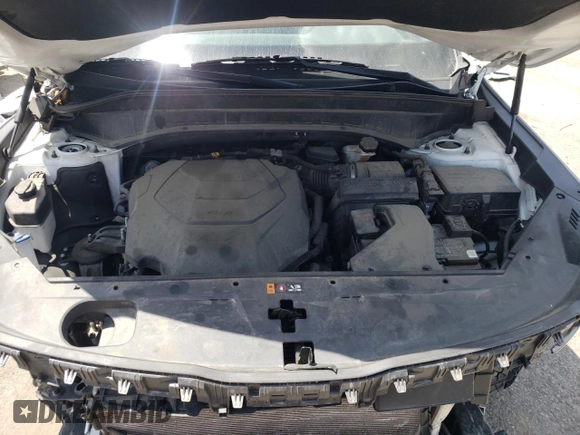 2022 Kia Telluride LX with VIN 5XYP2DHC1NG296601, listed as a Copart auction lot 54823115 with 76,882 mi miles and Non repairable. Bid and sale history available at DreamBid. Image 12.