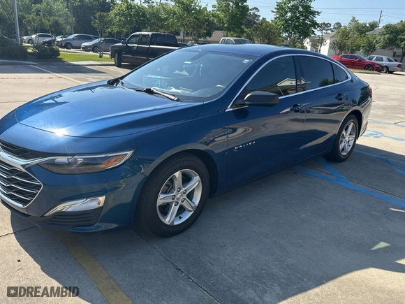 2019 Chevrolet Malibu LS with VIN 1G1ZB5ST1KF191460, listed as a Copart auction lot 53805735 with 72,885 mi miles and Salvage Title. Bid and sale history available at carsss.com. Image 2.