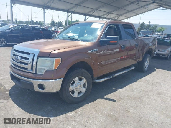 2011 Ford F-150 XL with VIN 1FTFW1EFXBKD12636, listed as a IAAI auction lot 42355469 with Not provided miles and . Bid and sale history available at DreamBid. Image 16.