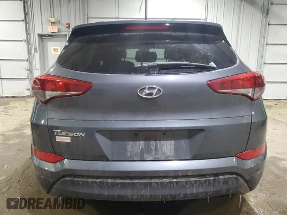 2017 Hyundai Tucson SE with VIN KM8J33A49HU331741, listed as a Copart auction lot 41931535 with Not Provided miles and Salvage Title. Bid and sale history available at DreamBid. Image 6.