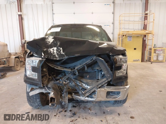 2016 Ford F-150 XLT with VIN 1FTEX1EP5GFD28230, listed as a IAAI auction lot 41895052 with 119,875 mi miles and . Bid and sale history available at carsss.com. Image 12.