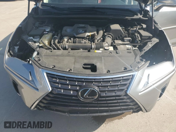 2019 Lexus NX 300 with VIN JTJBARBZ9K2197650, listed as a Copart auction lot 50976215 with 49,021 mi miles and Salvage Title. Bid and sale history available at DreamBid. Image 11.