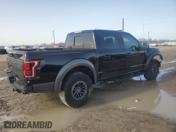 2019 Ford F-150 Raptor with VIN 1FTFW1RG0KFC08135, listed as a Copart auction lot 47550725 with 69,574 mi miles and Salvage Title. Bid and sale history available at carsss.com. Image 3.
