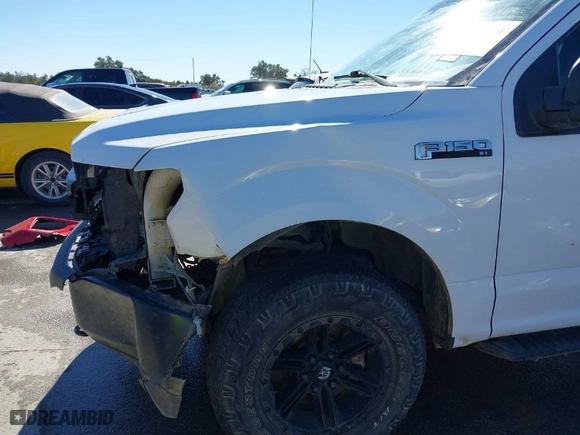 2018 Ford F-150 XL with VIN 1FTFX1E59JKF11731, listed as a IAAI auction lot 41391149 with 229,852 mi miles. Bid and sale history available at carsss.com. Image 18.