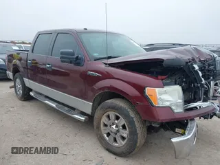 2009 Ford F-150 XL with VIN 1FTPW12V79KC62854, listed as a IAAI auction lot 41513528 with 252,813 mi miles. Bid and sale history available at carsss.com. Image 1.