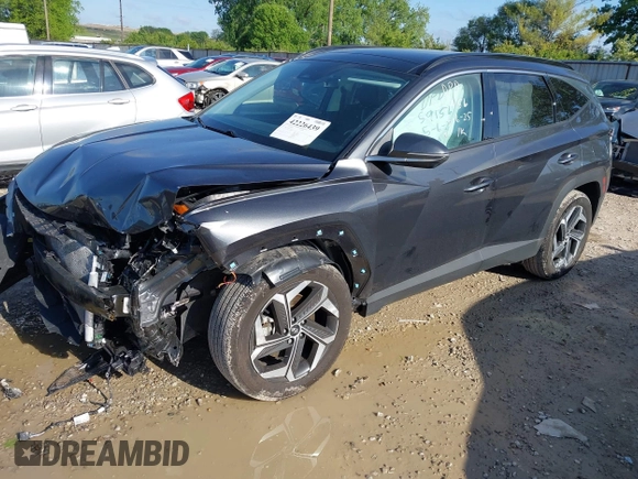 2024 Hyundai Tucson Limited with VIN 5NMJECDE4RH297445, listed as a IAAI auction lot 42226439 with 11,824 mi miles and . Bid and sale history available at DreamBid. Image 2.