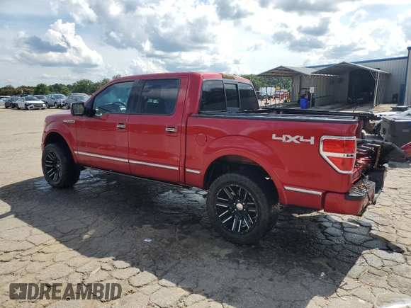 2011 Ford F-150 XL with VIN 1FTFW1EF4BFA08307, listed as a Copart auction lot 60532365 with 193,724 mi miles and Salvage title. Bid and sale history available at DreamBid. Image 2.