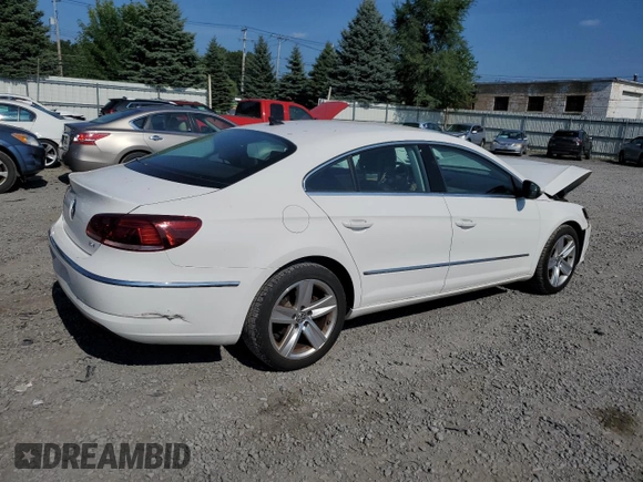 2013 Volkswagen CC R-Line with VIN WVWBP7AN2DE561333, listed as a Copart auction lot 67903454 with 91,378 mi miles and Salvage Title. Bid and sale history available at carsss.com. Image 3.