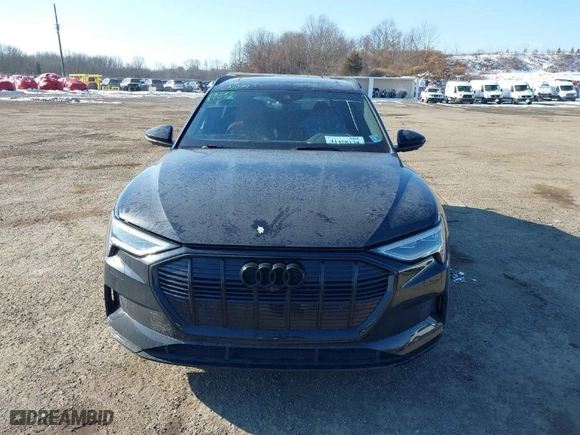 2021 Audi e-tron Premium Plus with VIN WA1LAAGE5MB012022, listed as a IAAI auction lot 41458134 with NaN miles. Bid and sale history available at carsss.com. Image 12.