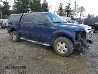 2009 Ford F-150 XL with VIN 1FTPW14VX9FA25474, listed as a Copart auction lot 51437595 with 147,088 mi miles and Salvage title. Bid and sale history available at DreamBid. Image 4.