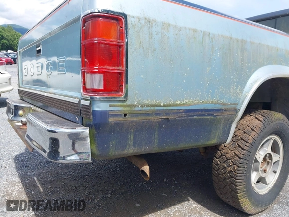 1987 Dodge Dakota с VIN 1B7GR14M9HS404759, выставлен на аукционе IAAI как лот 42513734 с пробегом 95 125 миль миль и . История ставок и продаж доступна на DreamBid. Изображение 14.