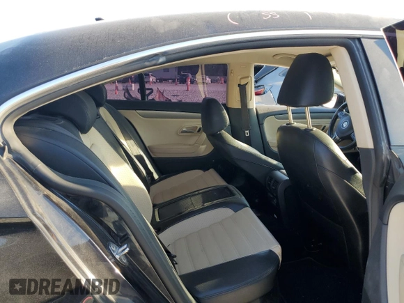 2010 Volkswagen CC Sport with VIN WVWMN7AN8AE554431, listed as a Copart auction lot 76045844 with 156,890 mi miles and Salvage Title. Bid and sale history available at DreamBid. Image 10.