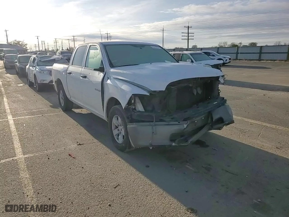 2010 Dodge Ram 1500 ST with VIN 1D7RB1CP3AS214671, listed as a Copart auction lot 81416294 with 184,768 mi miles and Salvage Title. Bid and sale history available at carsss.com. Image 11.