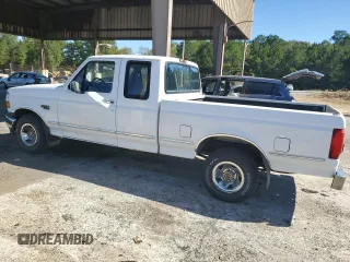 1995 Ford F-150 with VIN 1FTEX15N1SKB74596, listed as a Copart auction lot 73388284 with 310,129 mi miles and Salvage Title. Bid and sale history available at carsss.com. Image 2.
