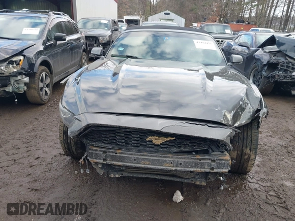 2017 Ford Mustang EcoBoost Premium with VIN 1FATP8UH6H5273150, listed as a IAAI auction lot 41412471 with 138,015 mi miles and . Bid and sale history available at DreamBid. Image 6.
