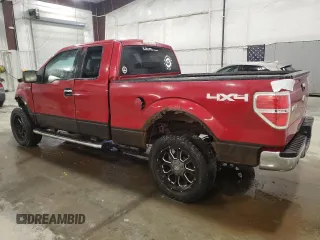 2010 Ford F-150 XL with VIN 1FTFX1EV4AKE10502, listed as a Copart auction lot 48208995 with 162,801 mi miles and Non repairable. Bid and sale history available at DreamBid. Image 2.