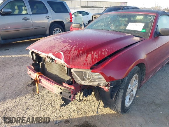 2014 Ford Mustang V6 with VIN 1ZVBP8EM8E5243111, listed as a IAAI auction lot 41973757 with 140,215 mi miles. Bid and sale history available at carsss.com. Image 6.