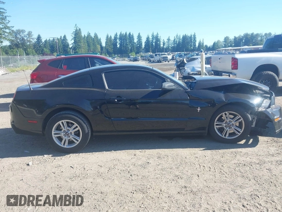 2013 Ford Mustang V6 with VIN 1ZVBP8AM3D5269846, listed as a IAAI auction lot 42460827 with 80,934 mi miles and . Bid and sale history available at DreamBid. Image 12.