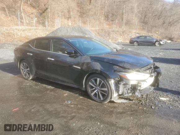 2019 Nissan Maxima SV with VIN 1N4AA6AV1KC372727, listed as a Copart auction lot 49873135 with 115,712 mi miles and Salvage Title. Bid and sale history available at DreamBid. Image 4.