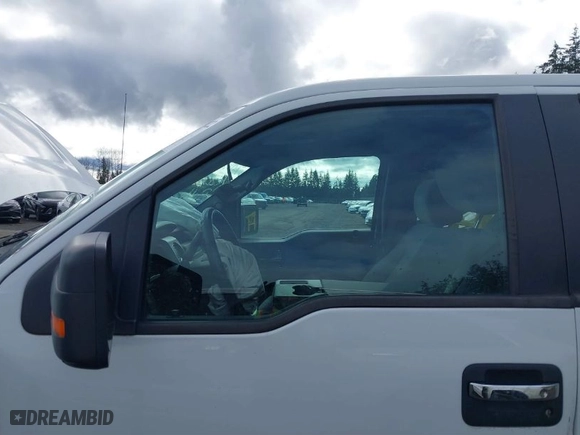 2012 Ford F-150 XL with VIN 1FTFW1EF8CKD63733, listed as a IAAI auction lot 41599022 with 164,256 mi miles. Bid and sale history available at carsss.com. Image 15.