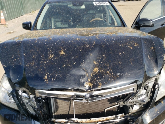 2013 Mercedes-Benz E 350 Luxury with VIN WDDHF8JB3DA680000, listed as a Copart auction lot 54690675 with 209,987 mi miles and Salvage Title. Bid and sale history available at DreamBid. Image 11.