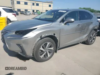 2019 Lexus NX 300 with VIN JTJBARBZ9K2197650, listed as a Copart auction lot 50976215 with 49,021 mi miles and Salvage Title. Bid and sale history available at DreamBid. Image 1.