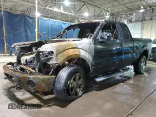 2010 Ford F-150 XL with VIN 1FTEX1EW1AFA40963, listed as a Copart auction lot 48222415 with Not Provided miles and Clean Title. Bid and sale history available at DreamBid. Image 1.