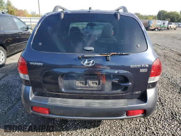 2005 Hyundai Santa Fe GLS with VIN KM8SC73E95U936274, listed as a Copart auction lot 76955984 with 166,437 mi miles and Salvage Title. Bid and sale history available at carsss.com. Image 6.