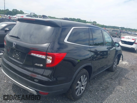 2021 Honda Pilot EX-L with VIN 5FNYF6H53MB097089, listed as a IAAI auction lot 42309359 with 58,371 mi miles and . Bid and sale history available at DreamBid. Image 4.