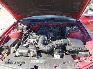 2009 Ford Mustang with VIN 1ZVHT80N895141562, listed as a IAAI auction lot 39262306 with 170,532 mi miles and . Bid and sale history available at DreamBid. Image 10.